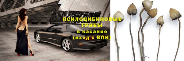 мдпв Балабаново