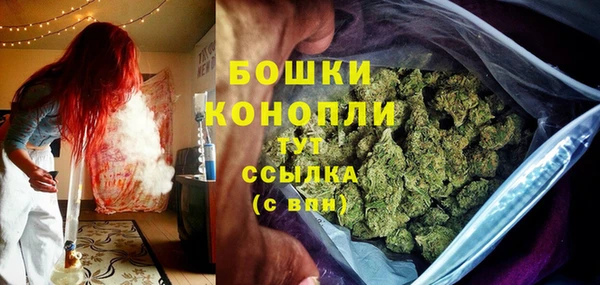 трава Армянск