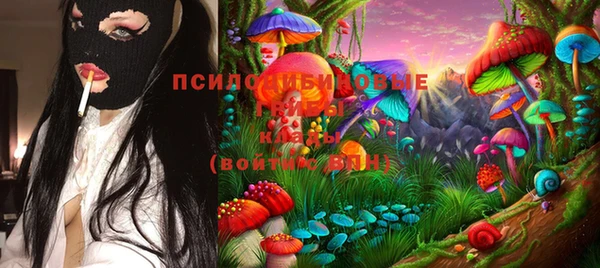 мдпв Балабаново