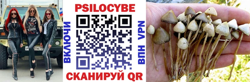 Псилоцибиновые грибы GOLDEN TEACHER  что такое наркотик  Усть-Кут 